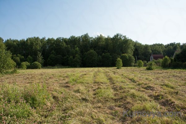 Покупаем землю в Полтавской области: советы специалистов